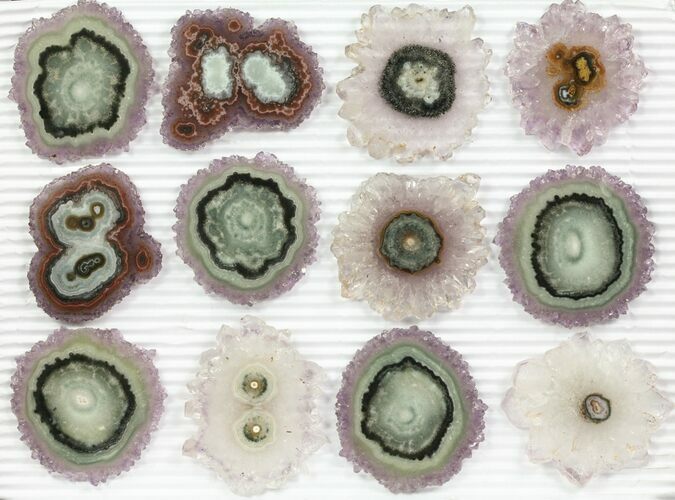 Lot: Amethyst Stalactite Slices ( Pieces) #76649